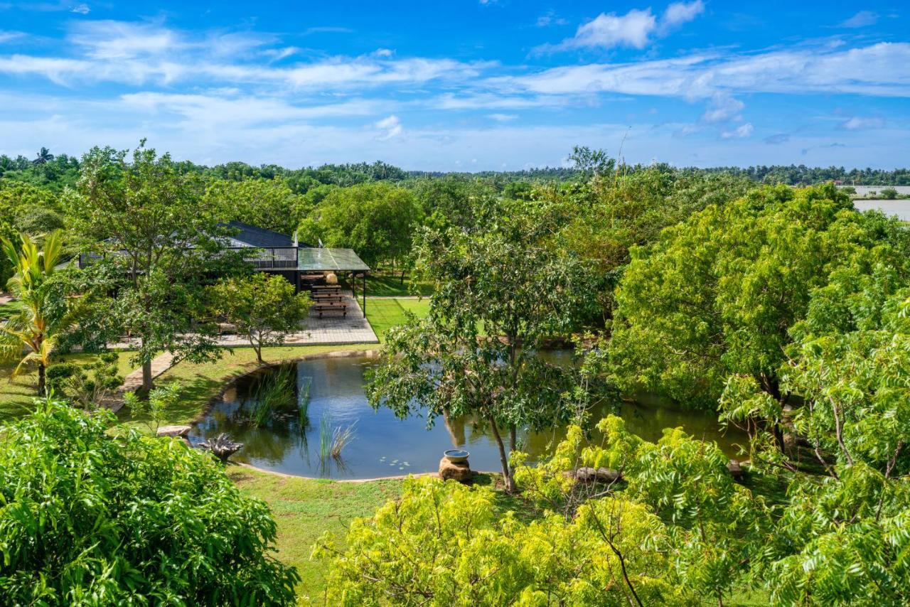 Wild Culture Yala Hotel Kültér fotó